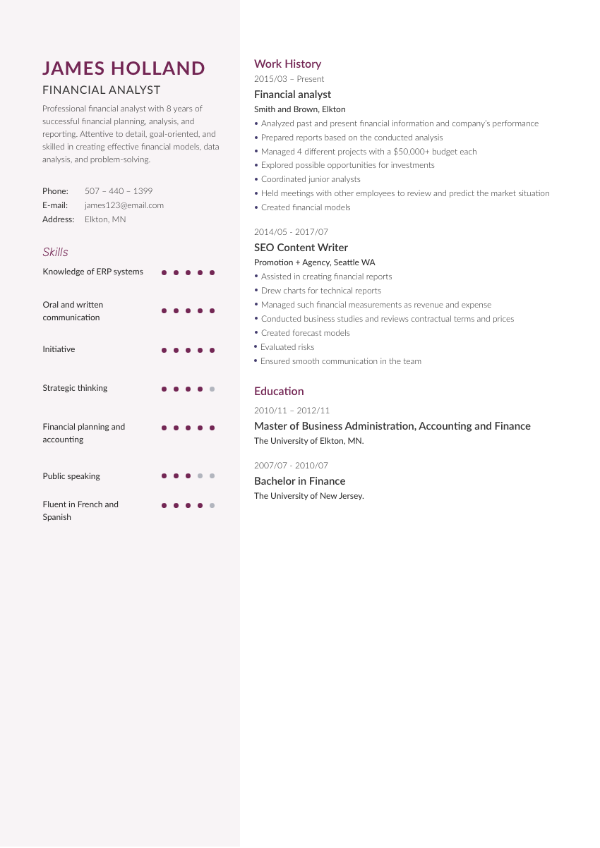 
                                                             image of a resume example for a financial analyst