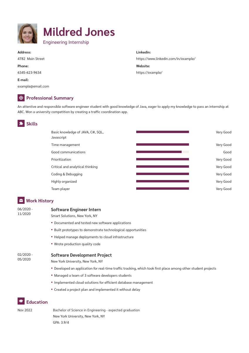 
                                                             an internship resume example